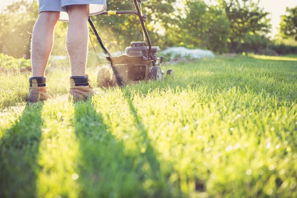 Lawn mower parts